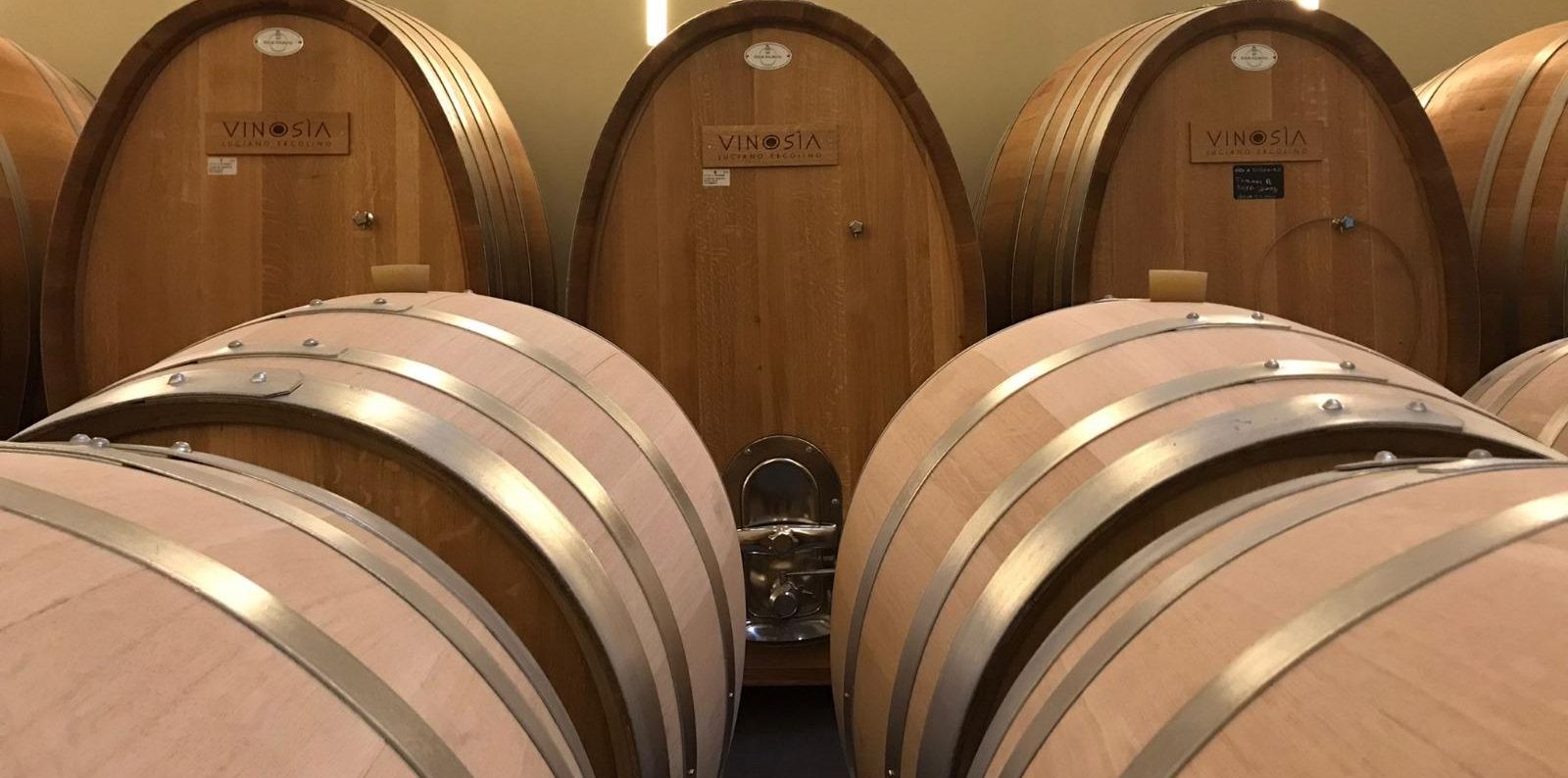 Oak barrels in the cellar